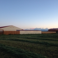 Looking South, Horse Shelters